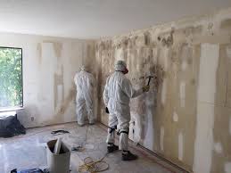 Best Emergency Mold Remediation in Sheridan, CO